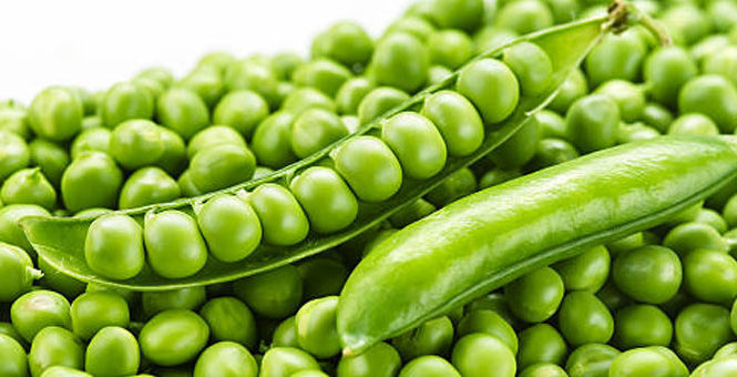 Pea Protein – Healthy Food Trend – Beneficial for Heart Health and Weight Loss