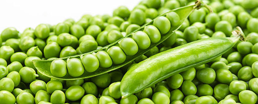 Pea Protein – Healthy Food Trend – Beneficial for Heart Health and Weight Loss