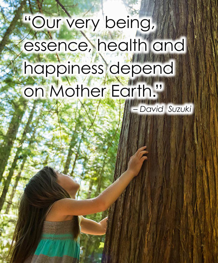 About Us Nature's Ingredients, Inc.